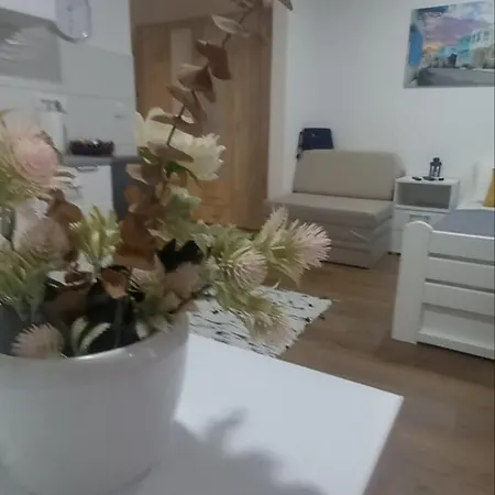 Mila 23 Vrnjačka Banja