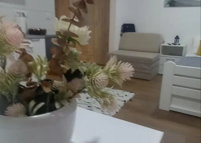 Mila 23 Vrnjačka Banja